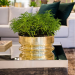 Centro de Mesa Spin Grande Ouro 24k Saint James