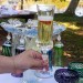 Taça Cristal Lapidado 66 P/Champagne Incolor 210ml
