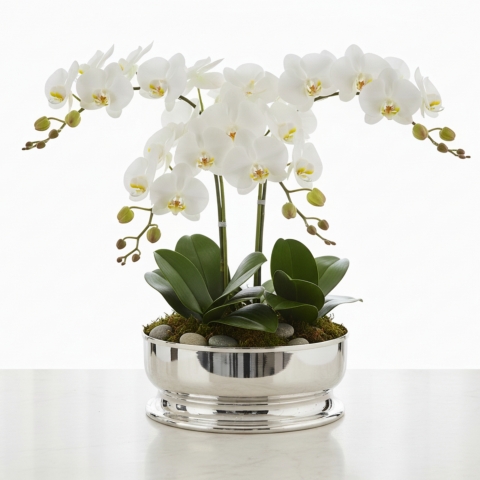 Centro de Mesa Média Prata Silhouette St James