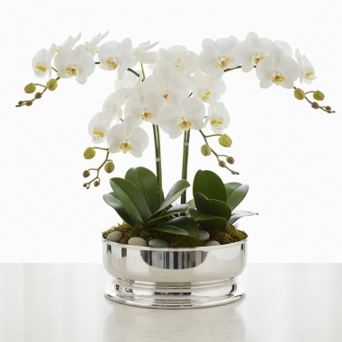 Centro de Mesa Média Prata Silhouette St James