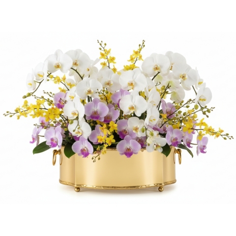 Centro de Mesa Ouro 24k Classic Grande C/Cordão Croise St James