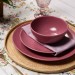 Aparelho de Jantar 16 Peças Color Blush