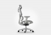 Cadeira Ergonomica Dewok Pro