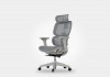 Cadeira Ergonomica Dewok Pro