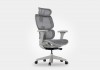 Cadeira Ergonomica Dewok Pro