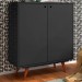 Sapateira 2 Portas Retro Preto - Olivar Móveis