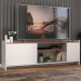 Rack para TV Até 60 Polegadas 2 Portas Branco/Nogal - Hecol Móveis