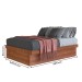 Cama Box de Casal Arizona Articulável com Fundo Nogal - Panorama Móveis