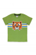 Conjunto Infantil Masculino Tigre Militar