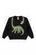 Conjunto Infantil Masculino Dino Esqueleto