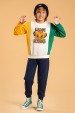 Conjunto Masculino Infantil Lion King