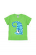 Conjunto Masculino Infantil Blue Tiger