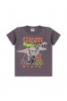 Conjunto Masculino Infantil Tyranno