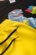 Conjunto Masculino Infantil Dinossauro óculos