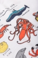 Conjunto Infantil Masculino Sob O Mar