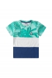 Conjunto Infantil Masculino Tricolor Folhagens