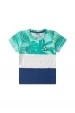Conjunto Infantil Masculino Tricolor Folhagens
