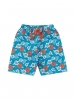 Conjunto Infantil Masculino Tigre Surfista