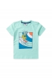 Conjunto Infantil Masculino Abacaxi Surfista