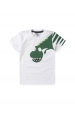 Conjunto Masculino Infantil Dino Camuflado