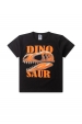 Conjunto Masculino Infantil Fóssil de Dino