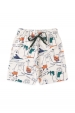 Conjunto Masculino Infantil Verão na Selva