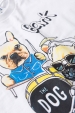 Conjunto Masculino Infantil Banda do Bark