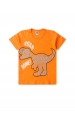 Conjunto Masculino Infantil Roar Some