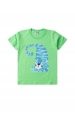 Conjunto Masculino Infantil Blue Tiger