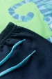 Conjunto Masculino Infantil Blue Tiger