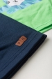 Conjunto Masculino Infantil Blue Tiger