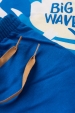 Conjunto Infantil Masculino Estilo Surfista