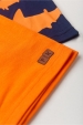 Conjunto Masculino Marinho Peixes