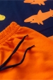 Conjunto Masculino Marinho Peixes