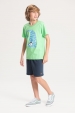Conjunto Masculino Infantil Blue Tiger