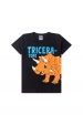 Conjunto Infantil Masculino Era Dos Dinos