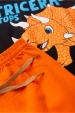 Conjunto Infantil Masculino Era Dos Dinos