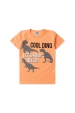 Conjunto Infantil Masculino Rugindo Olá