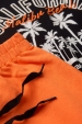 Conjunto Masculino Infantil Estilo Californiano