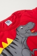 Conjunto Infantil Masculino Grandes Pegadas