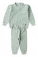 Conjunto Blusa Manga Longa e Calça Brush - Verde - Ame Kids